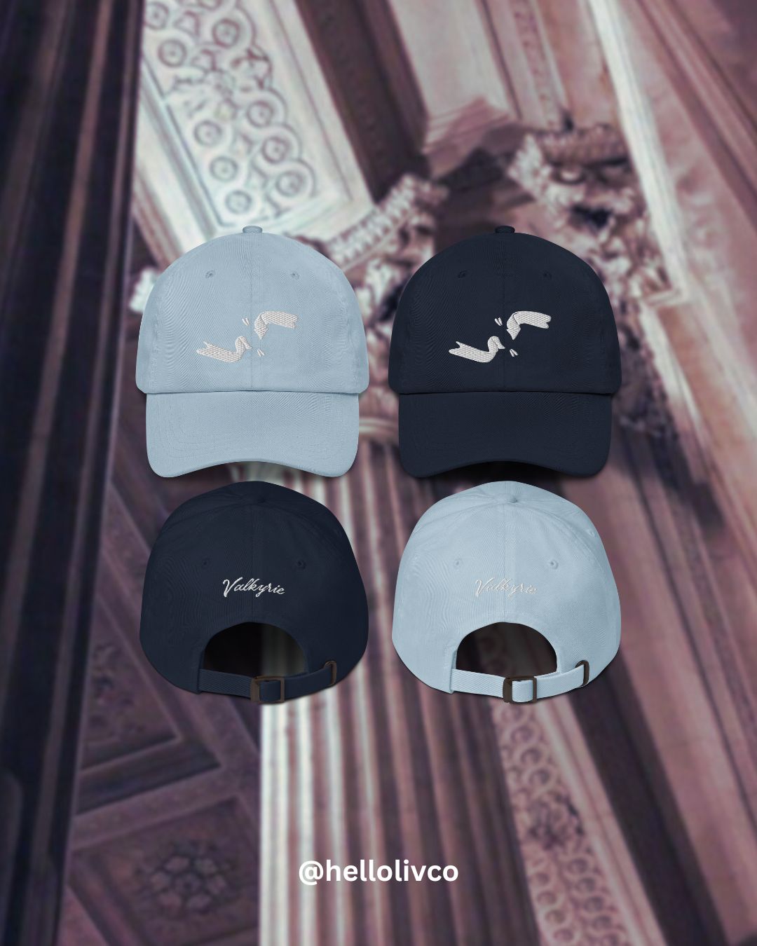Valkyrie Dad Cap
