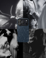 Stonewater Kingdom iPhone® Case