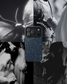 Stonewater Kingdom MagSafe® iPhone® Case