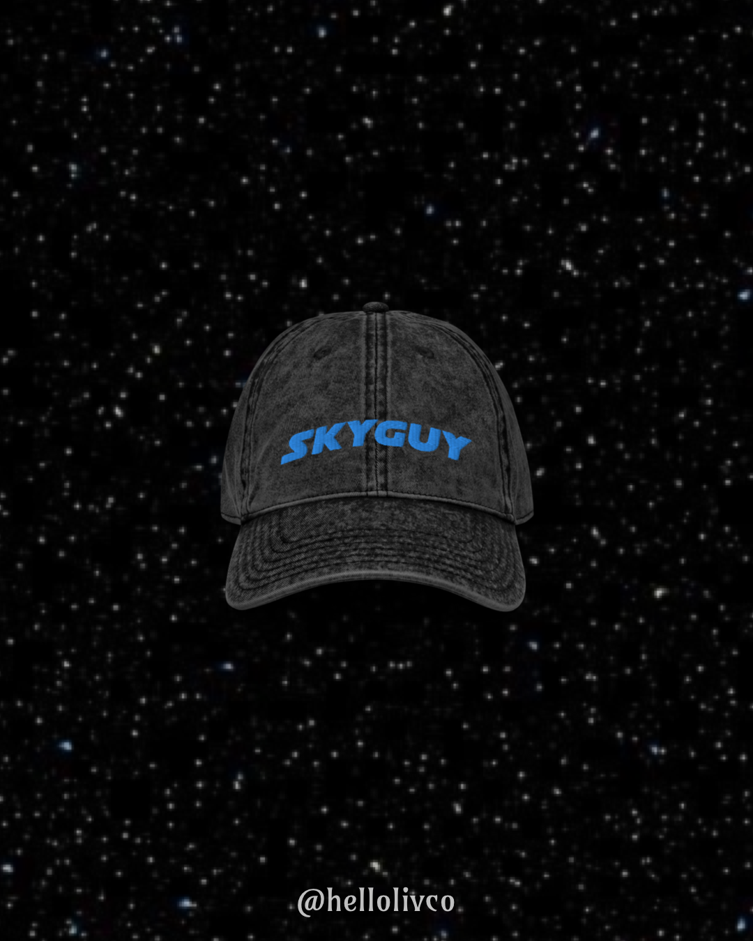 Skyguy Dad Cap