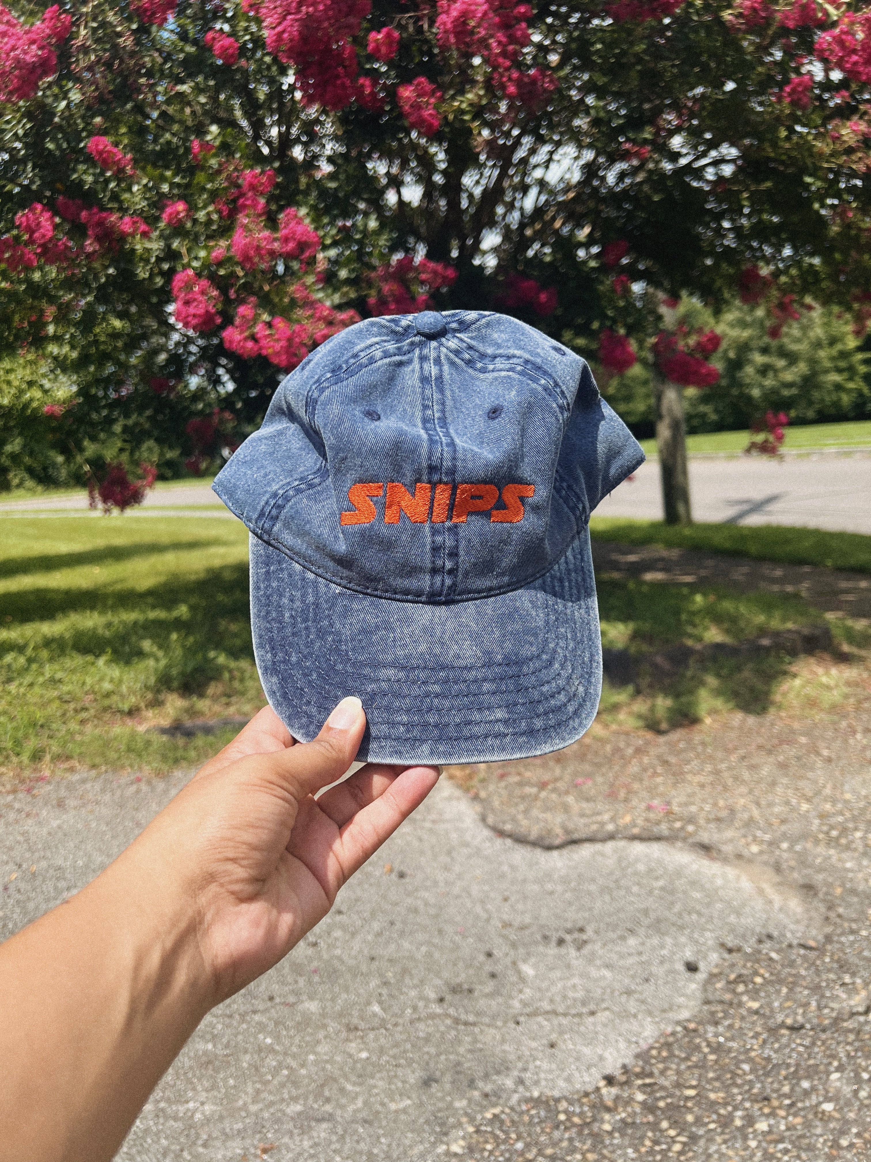 Snips Dad Cap – Liv Co.